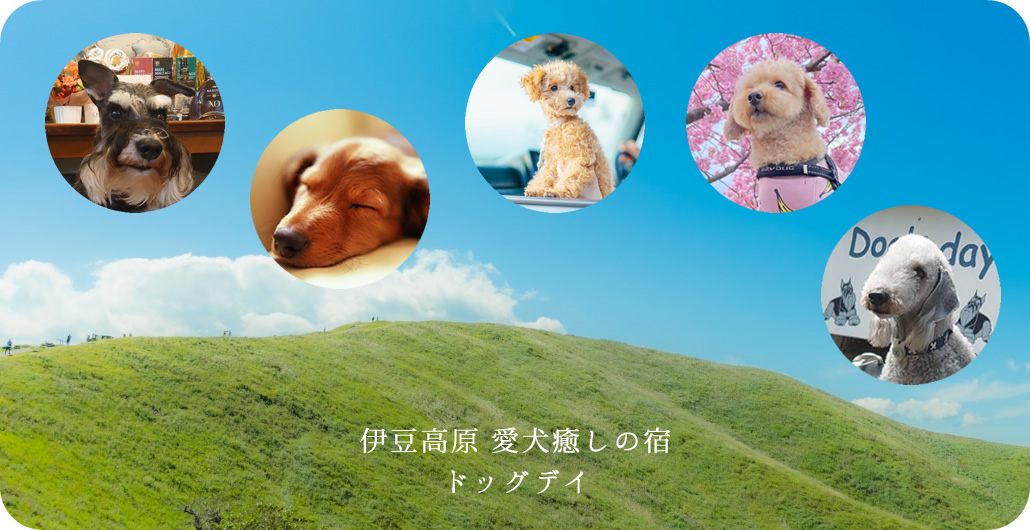 愛犬癒しの宿ドッグデイ：メインビジュアル